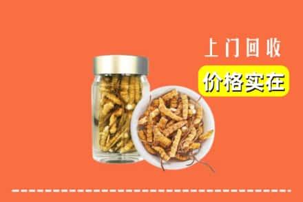 收购资讯:通化市东昌回收散虫草