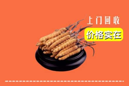 收购资讯:通化市东昌回收冬虫夏草